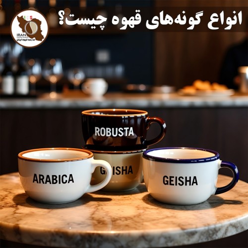 انواع گونه‌های قهوه چیست؟ | راهنمای کامل گونه‌های اصلی قهوه + ویژگی‌ها و طعم‌شناسی 