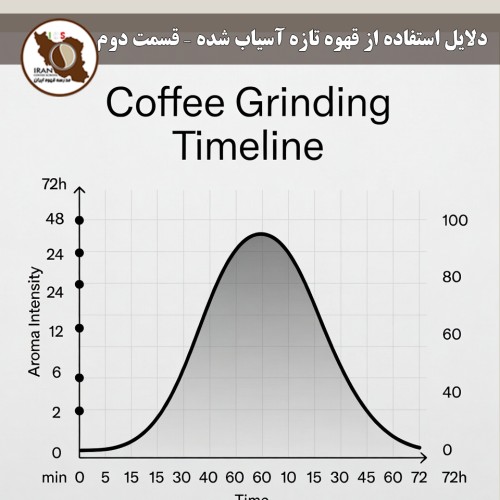 دلایل استفاده از قهوه تازه آسیاب شده – قسمت دوم مزایای عملی، اقتصادی و ترفندهای روزانه برای همیشه قهوه تازه