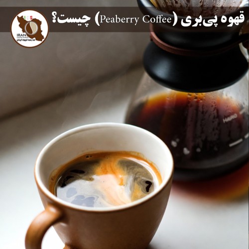 قهوه پی‌بری (Peaberry Coffee) چیست؟ | راهنمای کامل، دلایل تشکیل و طعم‌شناسی