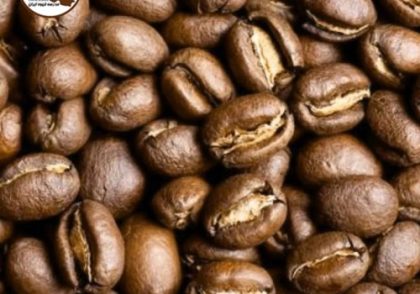قهوه پی‌بری (Peaberry Coffee) چیست؟ | راهنمای کامل، دلایل تشکیل و طعم‌شناسی