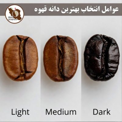 عوامل انتخاب بهترین دانه قهوه | راهنمای کامل خرید قهوه تخصصی در ایران