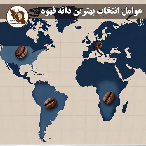 عوامل انتخاب بهترین دانه قهوه | راهنمای کامل خرید قهوه تخصصی در ایران