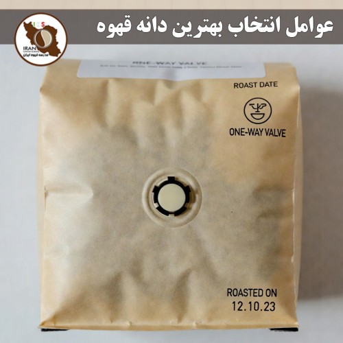 عوامل انتخاب بهترین دانه قهوه | راهنمای کامل خرید قهوه تخصصی در ایران