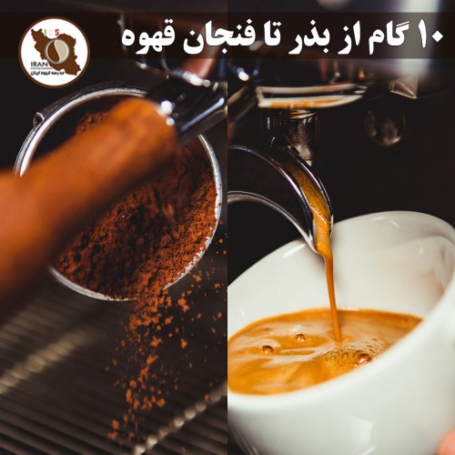 ۱۰ گام از بذر تا فنجان قهوه | فرآیند کامل تولید قهوه از مزرعه تا اسپرسو