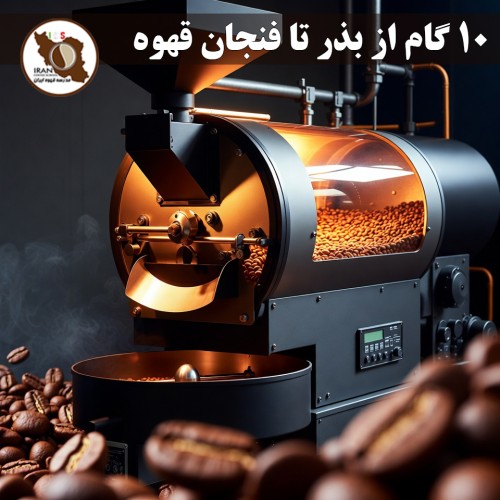 ۱۰ گام از بذر تا فنجان قهوه | فرآیند کامل تولید قهوه از مزرعه تا اسپرسو