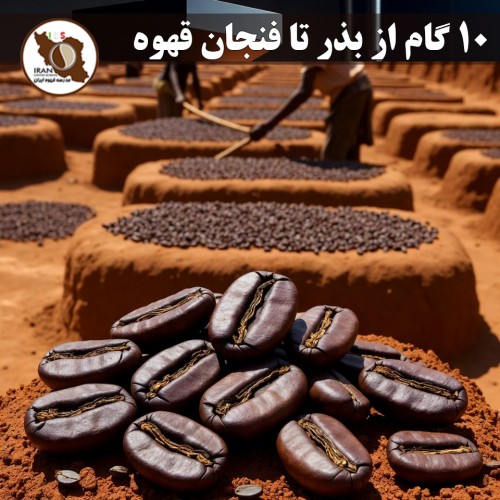 ۱۰ گام از بذر تا فنجان قهوه | فرآیند کامل تولید قهوه از مزرعه تا اسپرسو