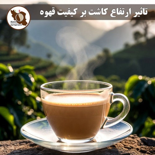 تاثیر ارتفاع کاشت بر کیفیت قهوه | راهنمای کامل + دلایل علمی، تاثیر بر شیرینی