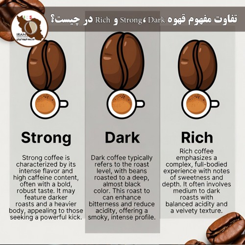 تفاوت مفهوم قهوه Strong، Dark و Rich در چیست؟ | راهنمای کامل و به‌روز ۱۴۰۵
