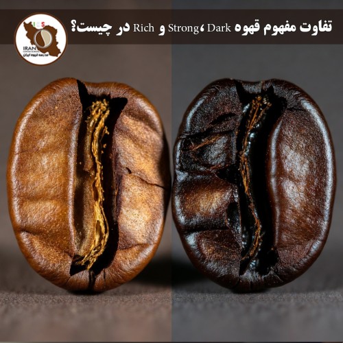 تفاوت مفهوم قهوه Strong، Dark و Rich در چیست؟ | راهنمای کامل و به‌روز ۱۴۰۵