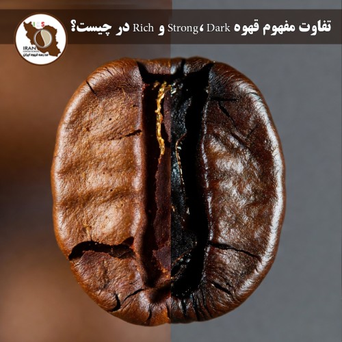 تفاوت مفهوم قهوه Strong، Dark و Rich در چیست؟ | راهنمای کامل و به‌روز ۱۴۰۵