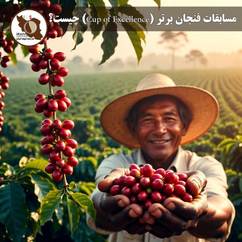 مسابقات فنجان برتر (Cup of Excellence) چیست؟ | راهنمای کامل و تاریخچه