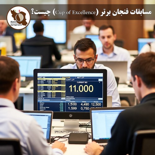 مسابقات فنجان برتر (Cup of Excellence) چیست؟ | راهنمای کامل و تاریخچه