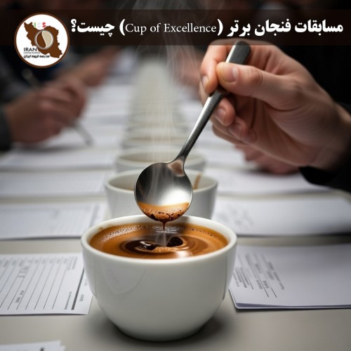 مسابقات فنجان برتر (Cup of Excellence) چیست؟ | راهنمای کامل و تاریخچه