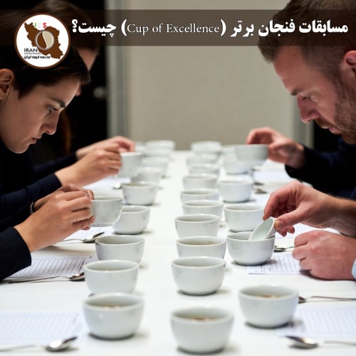 مسابقات فنجان برتر (Cup of Excellence) چیست؟ | راهنمای کامل و تاریخچه