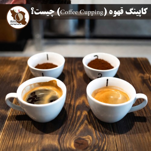 کاپینگ قهوه (Coffee Cupping) چیست؟ | راهنمای کامل، پروتکل استاندارد SCA 