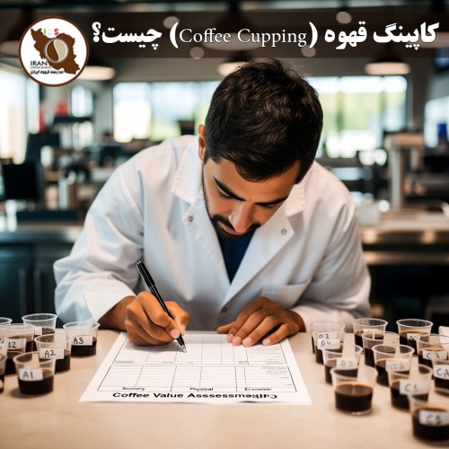 کاپینگ قهوه (Coffee Cupping) چیست؟ | راهنمای کامل، پروتکل استاندارد SCA 