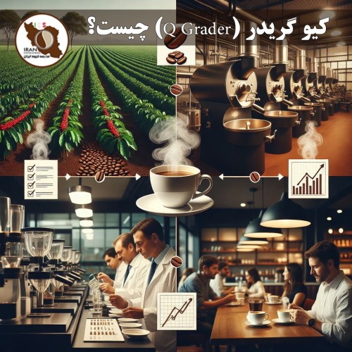 کیو گریدر (Q Grader) چیست؟ | راهنمای کامل متخصص ارزیابی قهوه