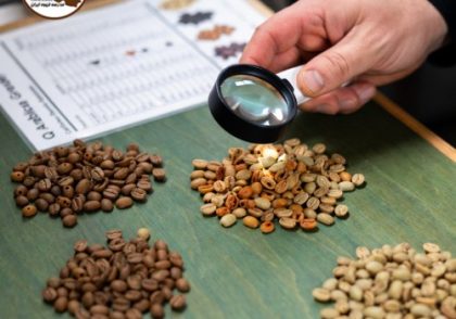 کیو گریدر (Q Grader) چیست؟ | راهنمای کامل متخصص ارزیابی قهوه 