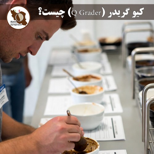 کیو گریدر (Q Grader) چیست؟ | راهنمای کامل متخصص ارزیابی قهوه