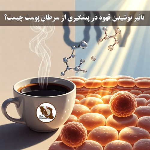 تاثیر نوشیدن قهوه در پیشگیری از سرطان پوست چیست؟ | بررسی علمی و به‌روز | مدرسه قهوه ایران
