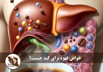 خواص قهوه برای کبد چیست؟ | بررسی علمی جامع و به‌روز | مدرسه قهوه ایران