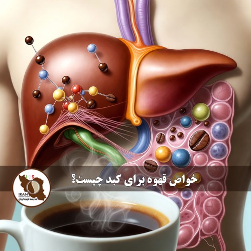 خواص قهوه برای کبد چیست؟ | بررسی علمی جامع و به‌روز