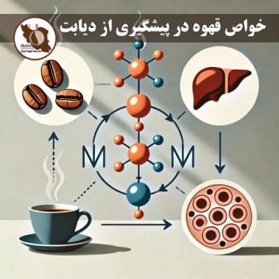 خواص قهوه در پیشگیری از دیابت | بررسی علمی جامع و به‌روز | مدرسه قهوه ایران