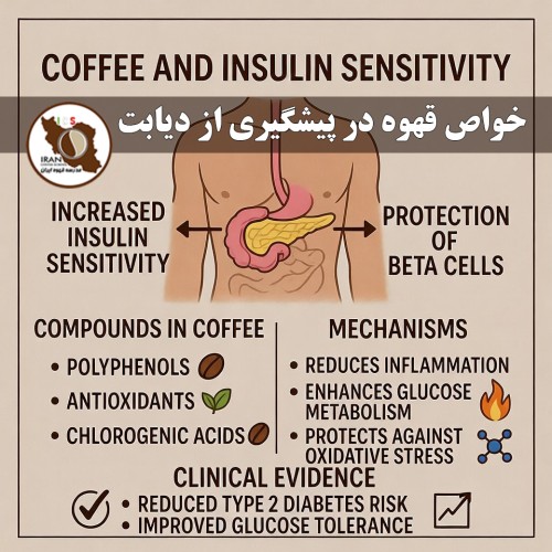 خواص قهوه در پیشگیری از دیابت | بررسی علمی جامع و به‌روز | مدرسه قهوه ایران