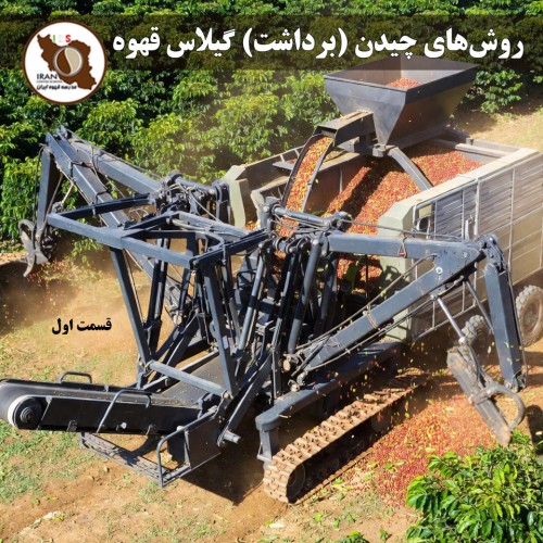 روش‌های چیدن (برداشت) گیلاس قهوه – قسمت اول راهنمای جامع ۱۴۰۵–۱۴۰۶ | مقایسه 