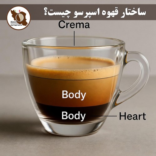 ساختار قهوه اسپرسو چیست؟ راهنمای جامع + علمی مدرسه قهوه ایران