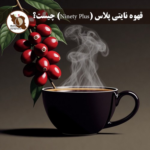 قهوه نایتی پلاس (Ninety Plus) چیست؟