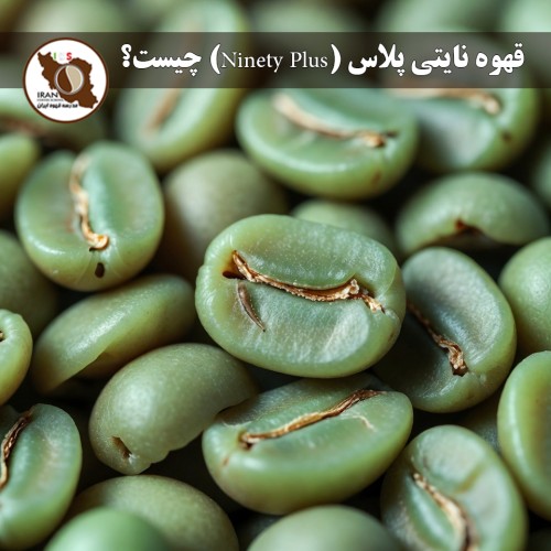 قهوه نایتی پلاس (Ninety Plus) چیست؟