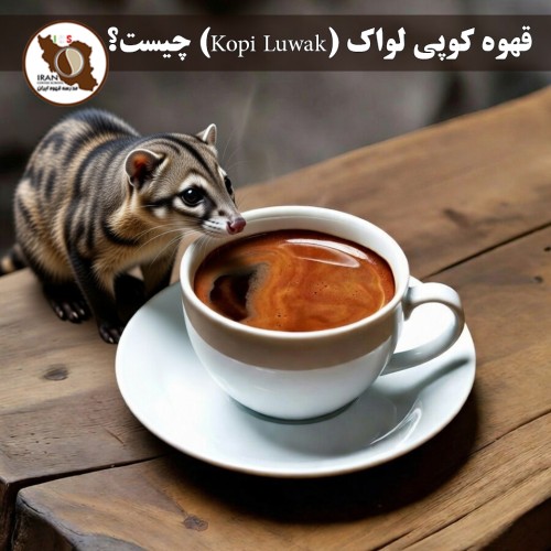 قهوه کوپی لواک (Kopi Luwak) چیست؟ | راهنمای کامل