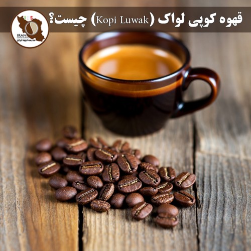 قهوه کوپی لواک (Kopi Luwak) چیست؟ | راهنمای کامل