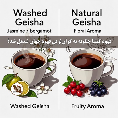 قهوه گیشا چگونه به گران‌ترین قهوه جهان تبدیل شد؟ (گیشا / Geisha / Gesha)