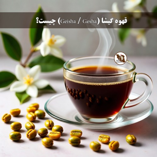 قهوه گیشا چیست؟ و چرا به افسانه‌ای‌ترین واریته قهوه جهان معروف است؟