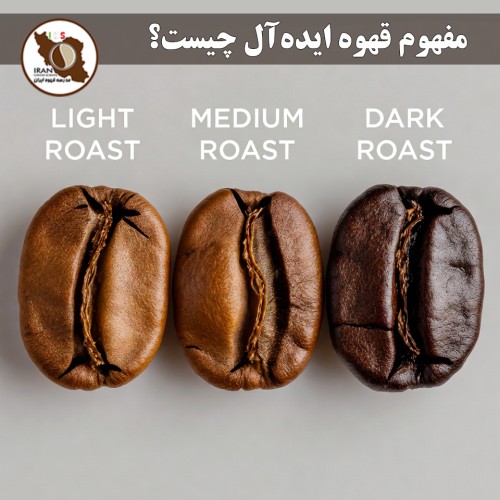 مفهوم قهوه ایده‌آل چیست؟ | راهنمای کامل ۱۴۰۵–۱۴۰۶ – استانداردهای SCA