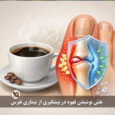 نقش نوشیدن قهوه در پیشگیری از بیماری نقرس | بررسی علمی و کاربردی
