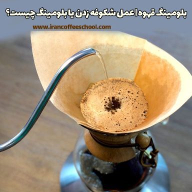 بلومینگ قهوه | عمل شکوفه زدن یا بلومینگ (Blooming) چیست؟