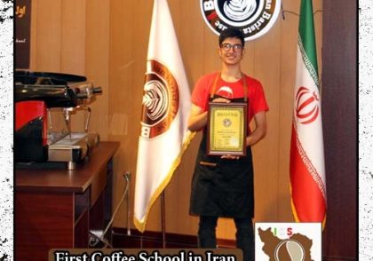 البرز امینی