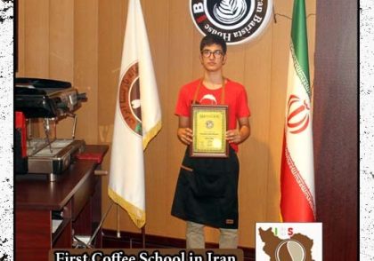 البرز امینی