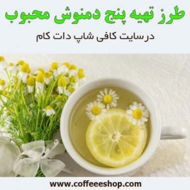 طرز تهیه پنج دمنوش محبوب در سایت کافی شاپ دات کام