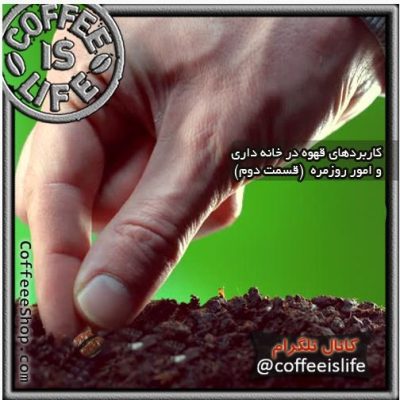 قهوه و مصرف روزمره آن