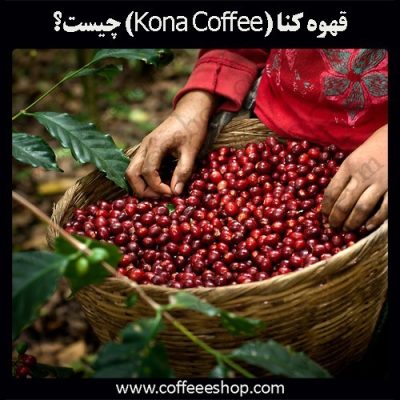 همه چیز درباره قهوه کنا (Kona Coffee)