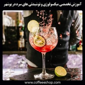 بوشهر – آموزش حرفه ای میکسولوژی و نوشیدنی های سرد با مجوز فنی حرفه ای