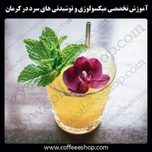 کرمان – آموزش حرفه ای میکسولوژی و نوشیدنی های سرد با مجوز فنی حرفه ای