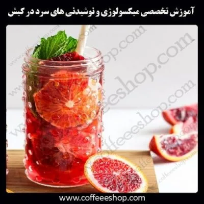جزیره کیش – آموزش حرفه ای میکسولوژی و نوشیدنی های سرد با مجوز فنی حرفه ای