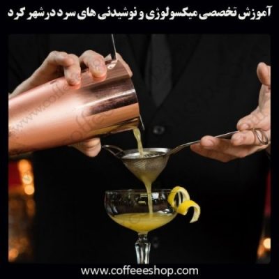 شهرکرد – آموزش حرفه ای میکسولوژی و نوشیدنی های سرد با مجوز فنی حرفه ای