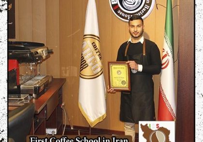 رضا سلیمانی