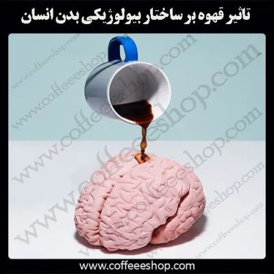 قهوه و ساختار بیولوژیکی بدن انسان